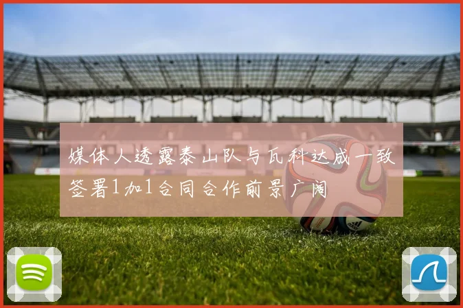 媒体人透露泰山队与瓦科达成一致签署1加1合同合作前景广阔