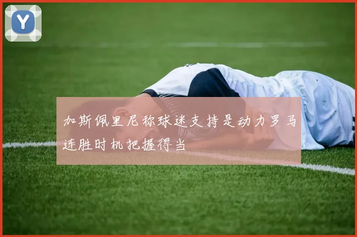 加斯佩里尼称球迷支持是动力罗马连胜时机把握得当