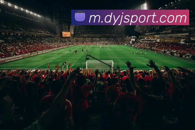 大赢家发展历程